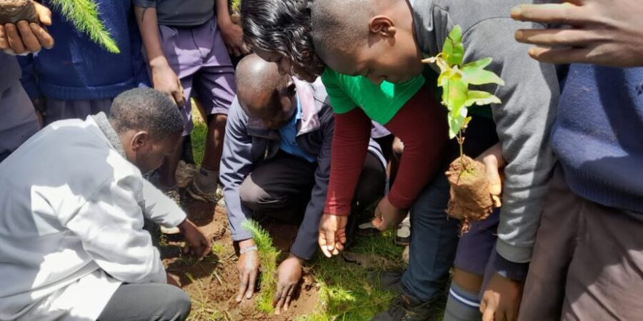 Tree planting in Molo