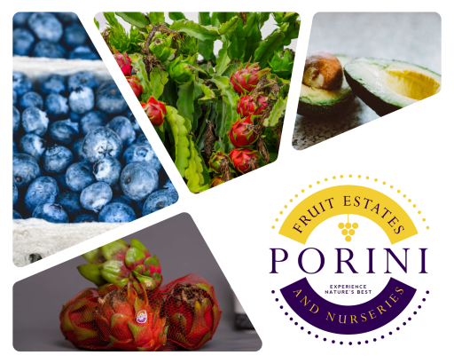 Porini Fruit Estates and Nurseries