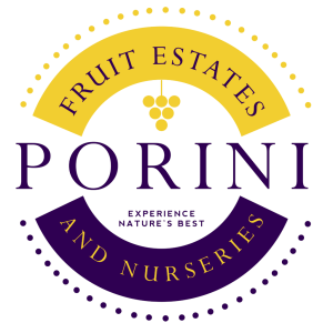 Porini Fruit Estates and Nurseries