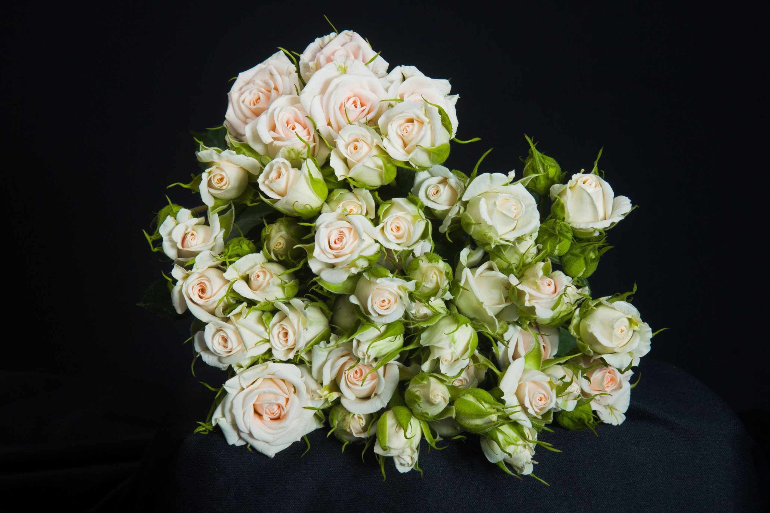 Sandy Blossom