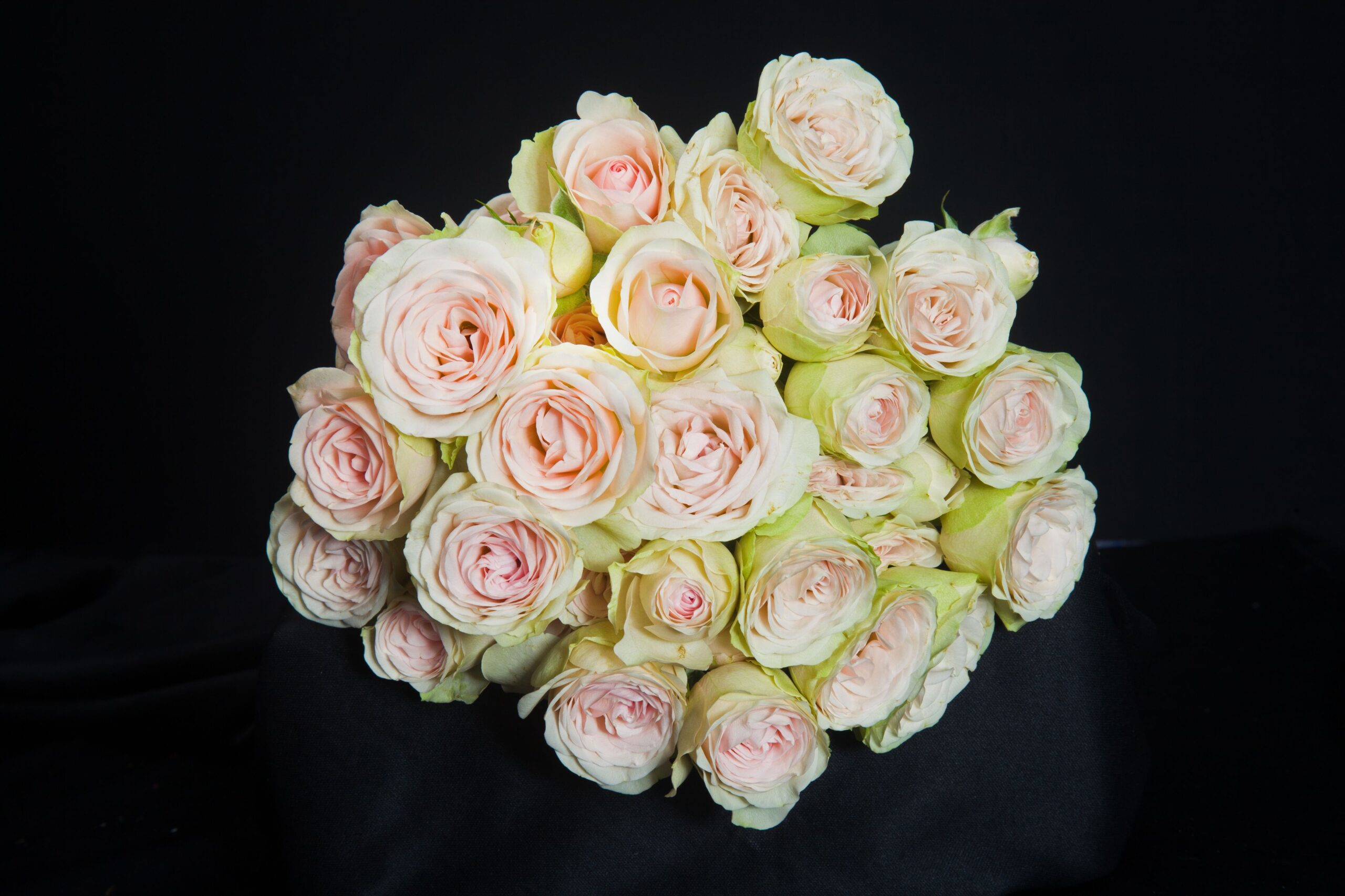 Sweet Blossom