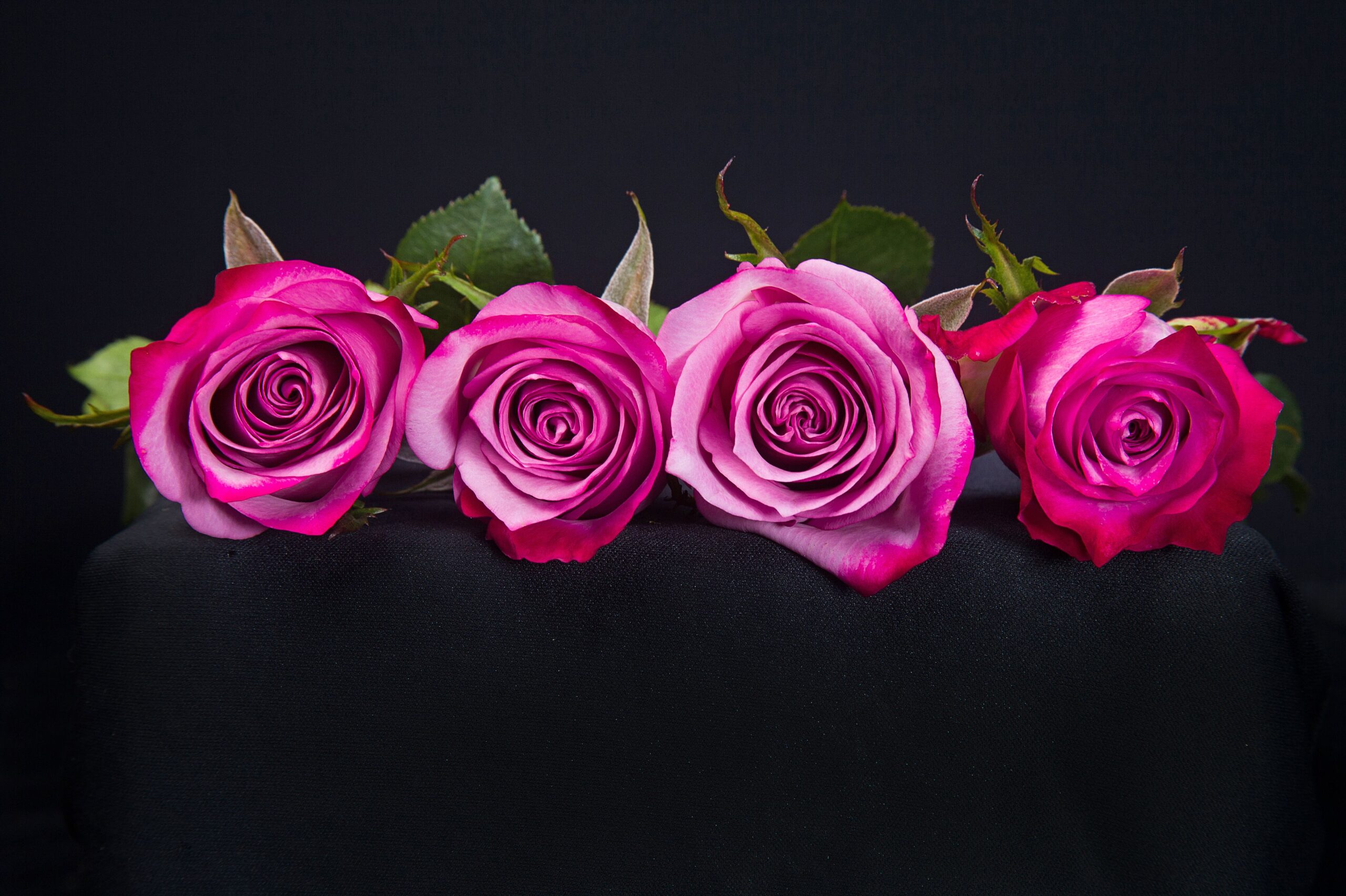 Deep Purple
