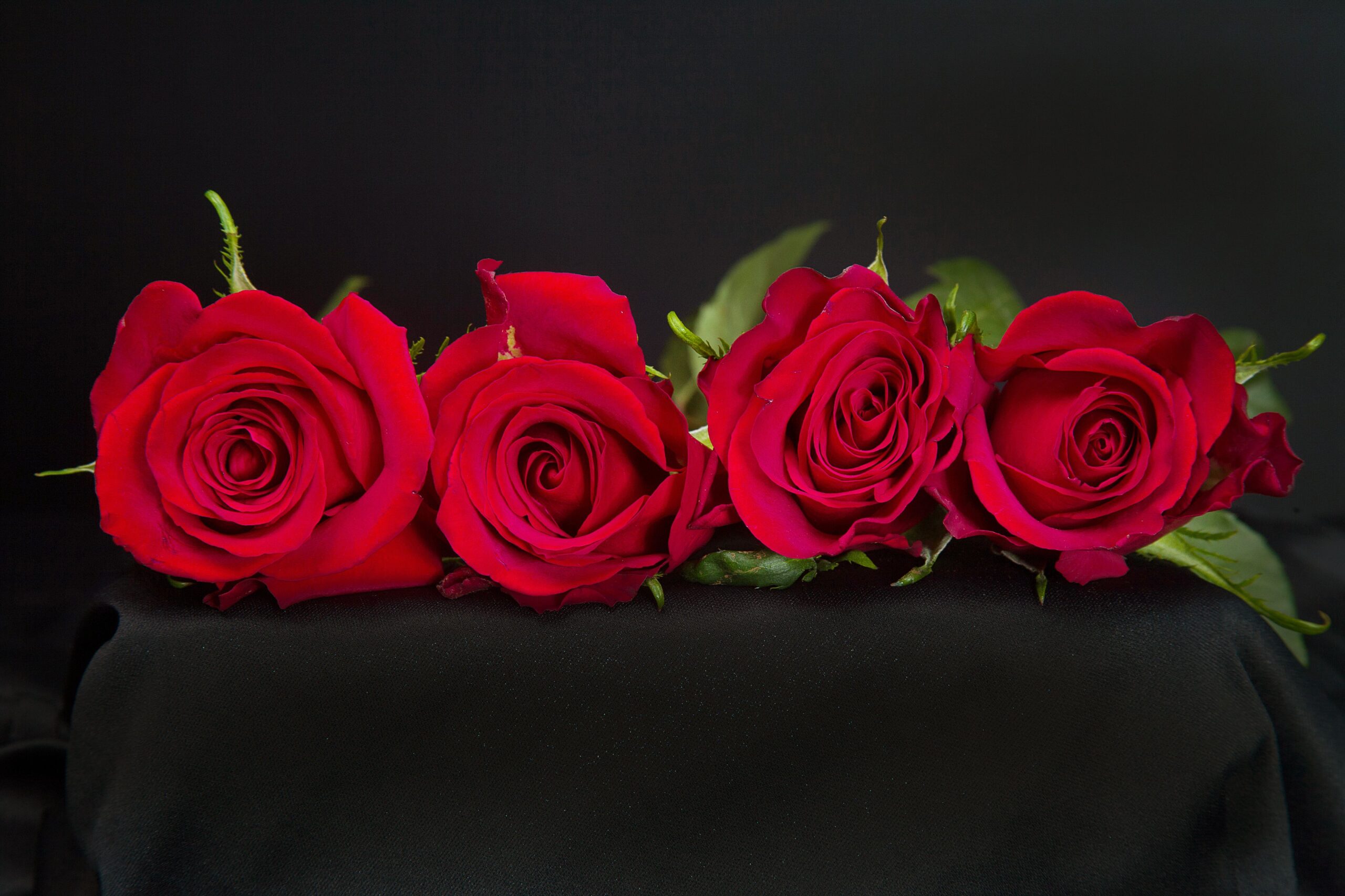 Ever Red