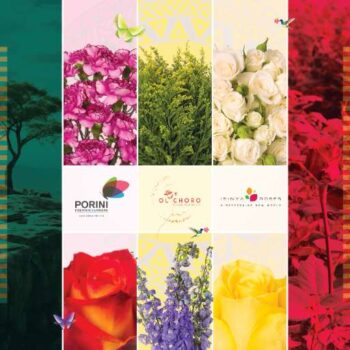 Download Our Catalog